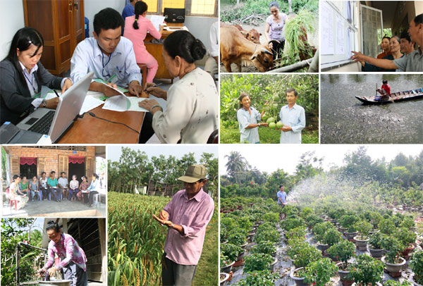 Thúc đẩy tín dụng nông nghiệp, nông thôn vùng Đồng bằng sông Cửu Long